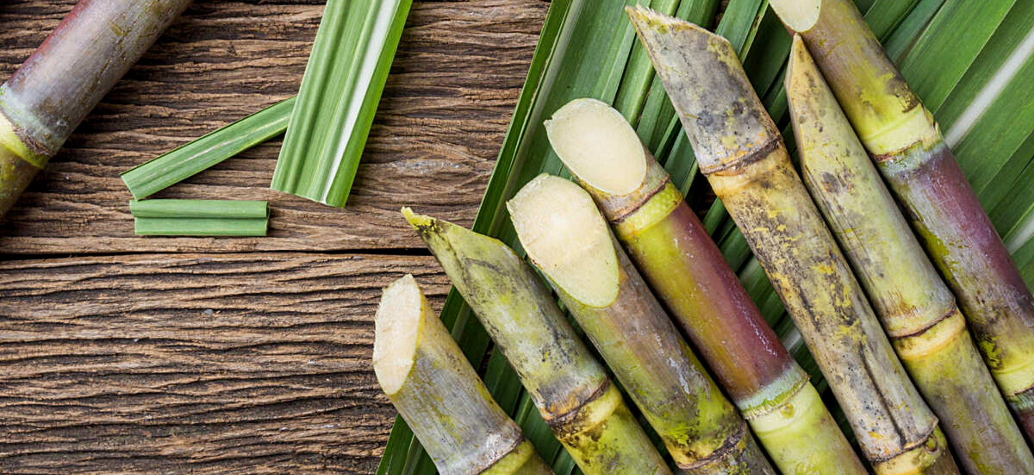 Sugarcane Management System